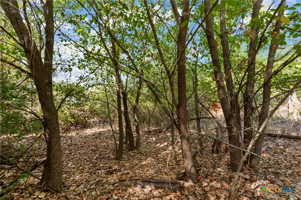 Tonkawa Drive Paige, TX 78659