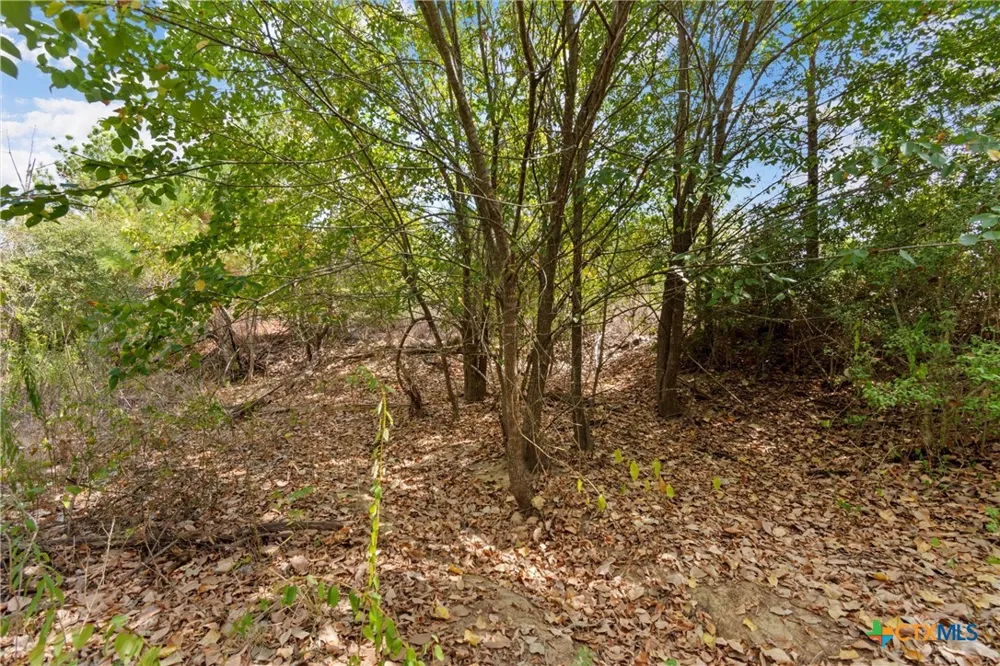 Tonkawa Drive Paige, TX 78659