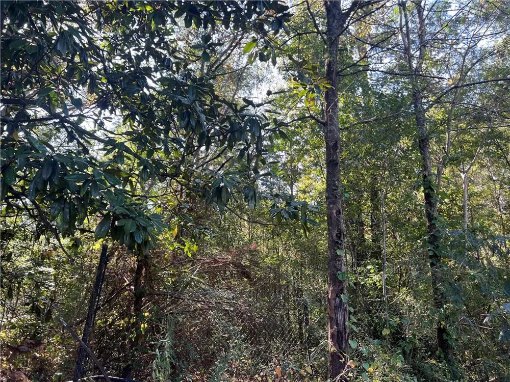 124 S Kelley Street Tallapoosa, GA 30176