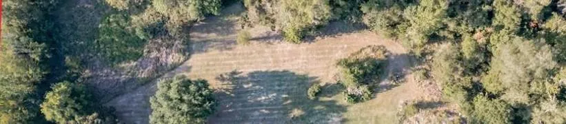3661 State Highway 19 Riverside, TX 77367