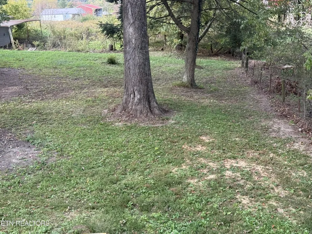 1089 Bicknell Road Rd Clarkrange, TN 38553