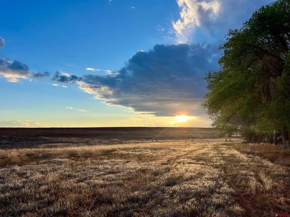 22749 Hwy 491 Yellow Jacket, CO 81335