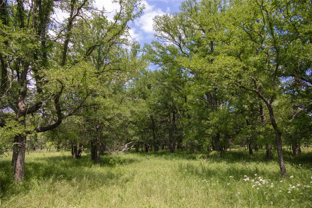 CR 267 Early, TX 76802