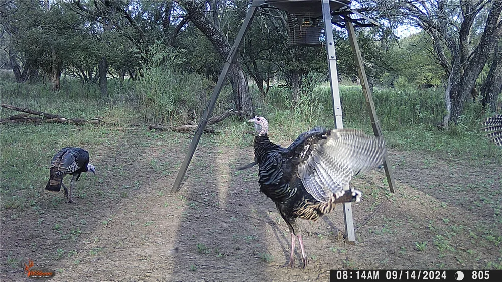 CR 267 Early, TX 76802