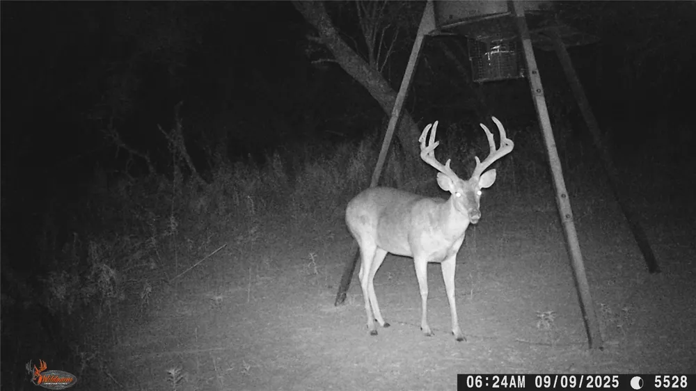 CR 267 Early, TX 76802