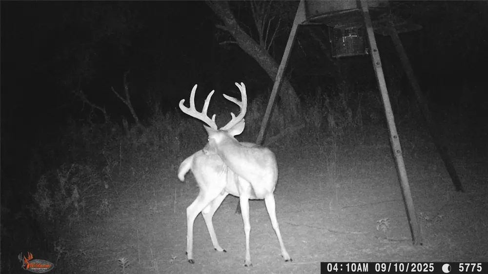CR 267 Early, TX 76802