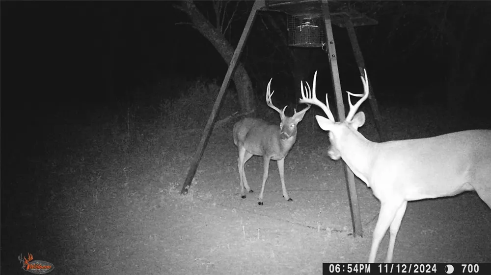 CR 267 Early, TX 76802
