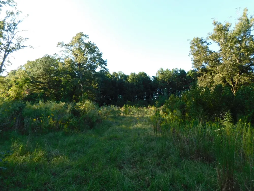 2600 Columbia 21 Road Taylor, AR 71861