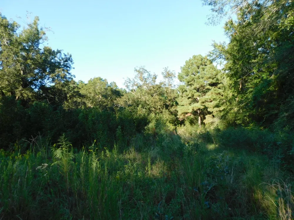 2600 Columbia 21 Road Taylor, AR 71861