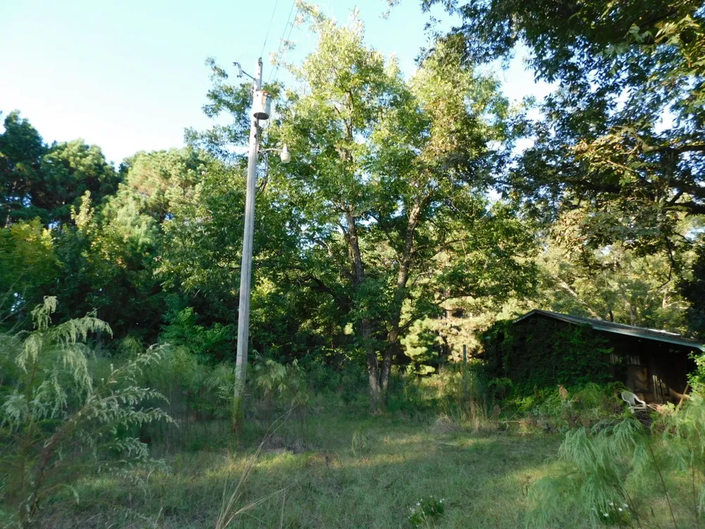 2600 Columbia 21 Road Taylor, AR 71861