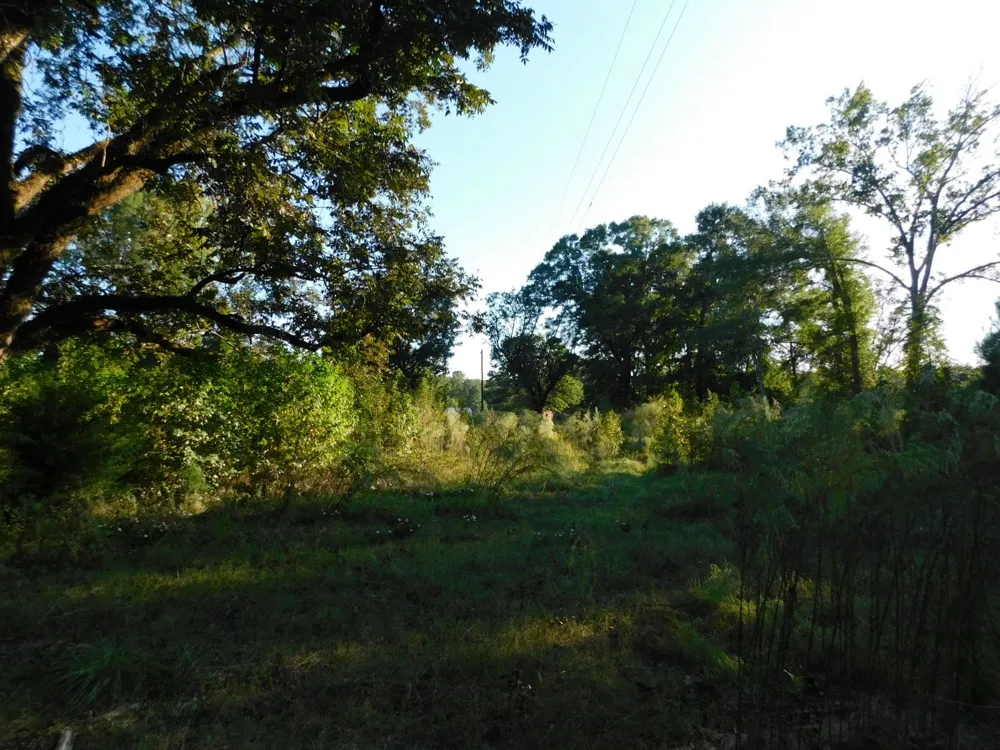 2600 Columbia 21 Road Taylor, AR 71861