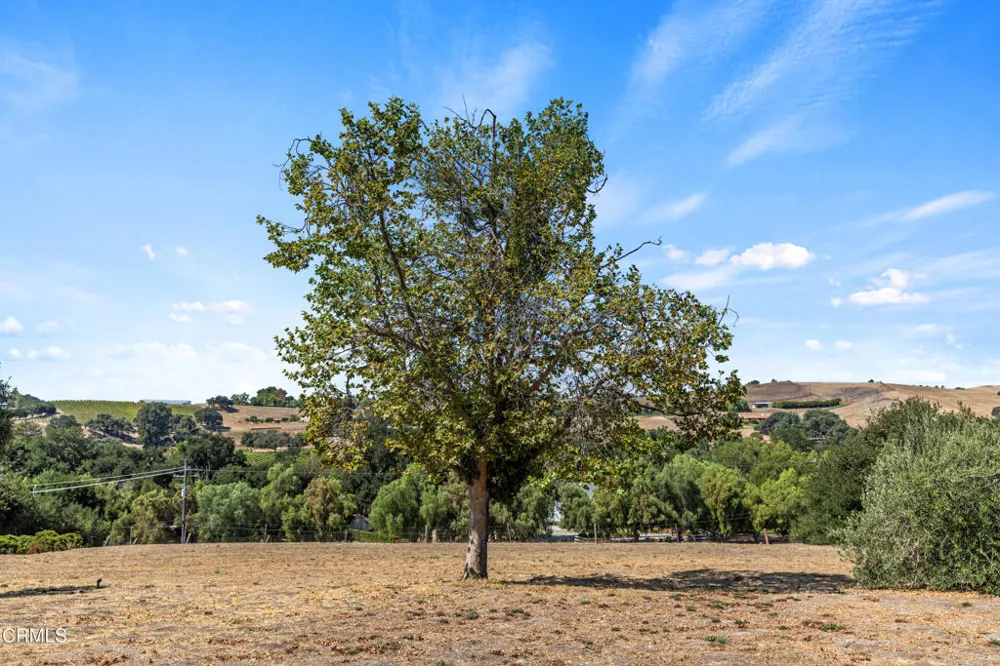 2465 Grand Avenue Los Olivos, CA 93441