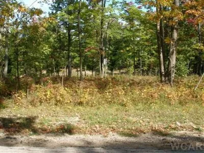 12004 Buchanan Road #42-43 Canadian Lakes, MI 49346