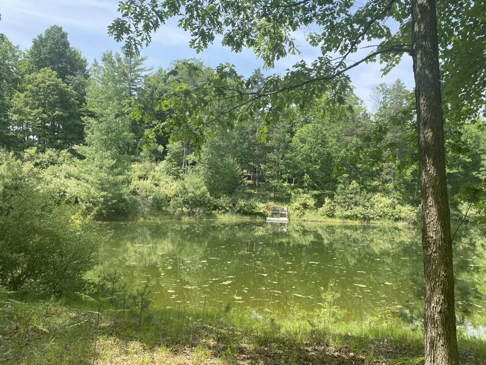 12004 Buchanan Road #42-43 Canadian Lakes, MI 49346