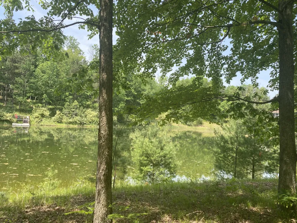 12004 Buchanan Road #42-43 Canadian Lakes, MI 49346