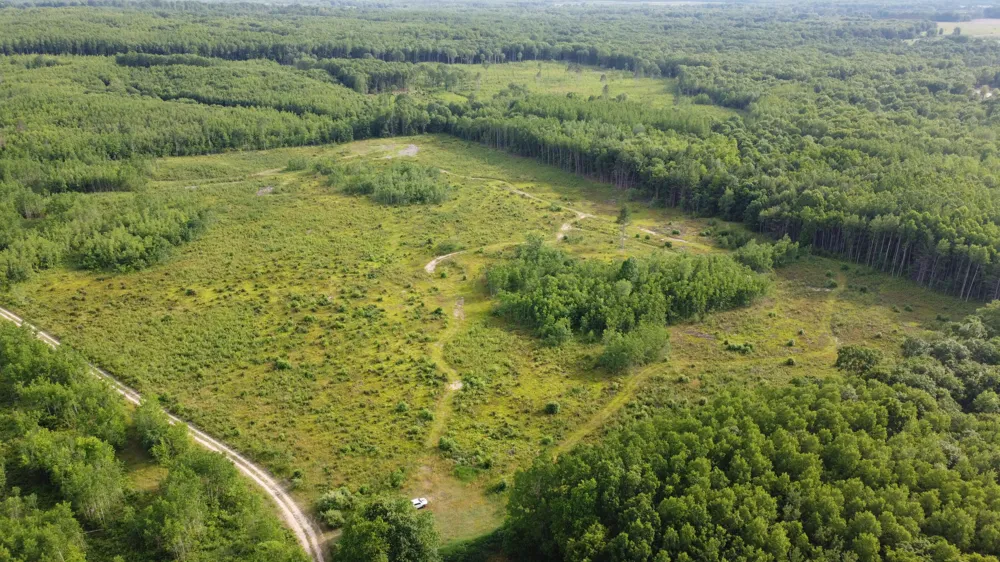 E Freesoil Road #40 acres Free Soil, MI 49411