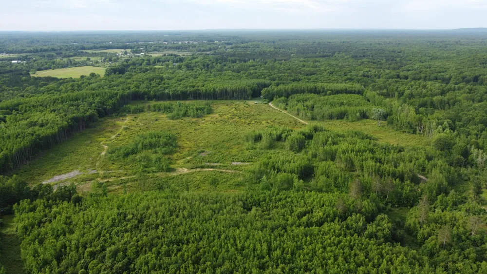 E Freesoil Road #40 acres Free Soil, MI 49411