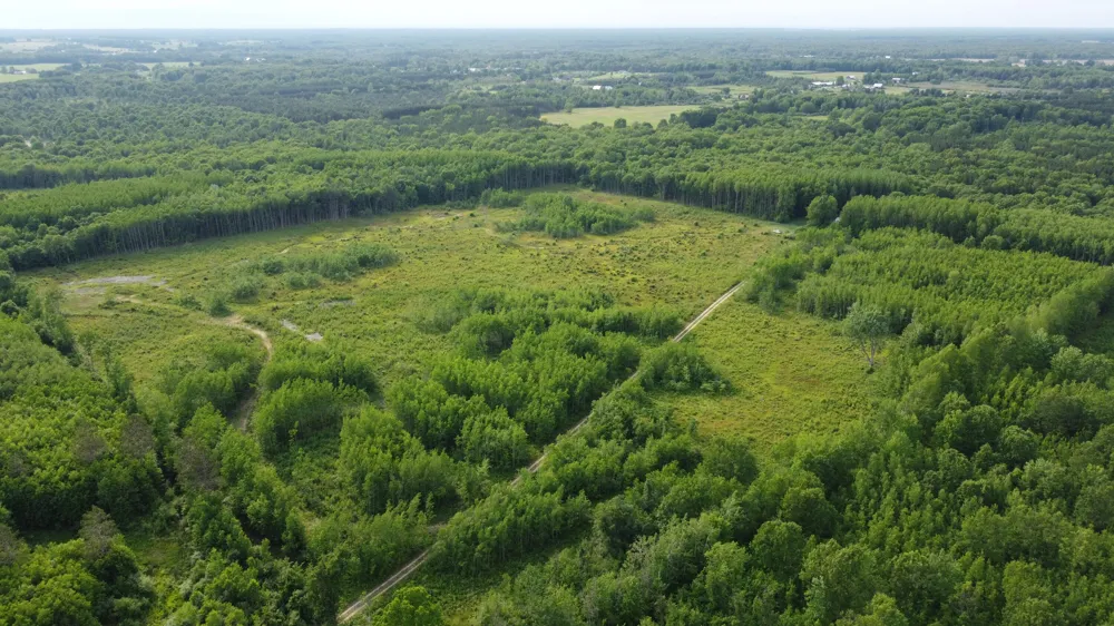E Freesoil Road #40 acres Free Soil, MI 49411
