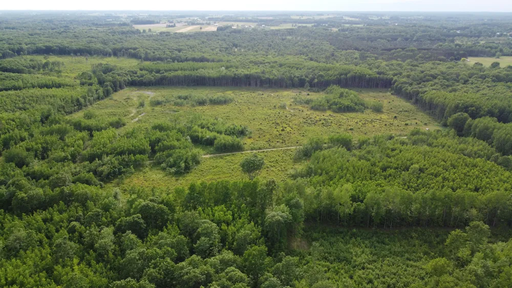 E Freesoil Road #40 acres Free Soil, MI 49411