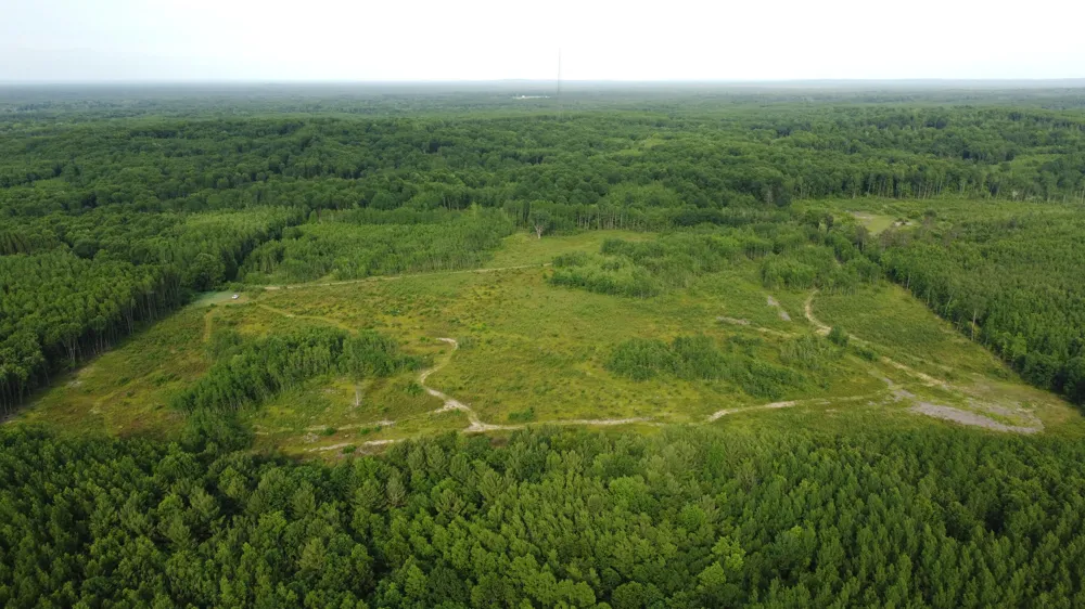 E Freesoil Road #40 acres Free Soil, MI 49411