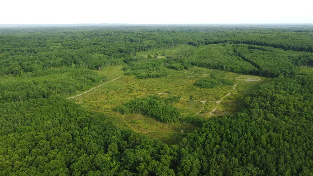 E Freesoil Road #40 acres Free Soil, MI 49411