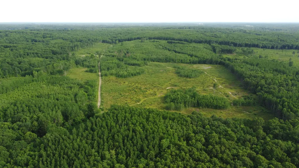 E Freesoil Road #40 acres Free Soil, MI 49411