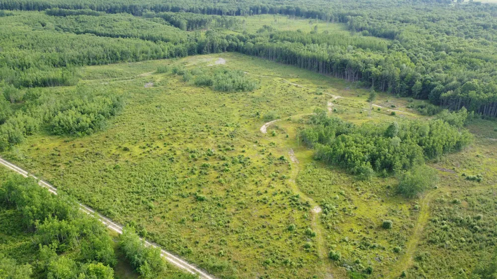 E Freesoil Road #40 acres Free Soil, MI 49411