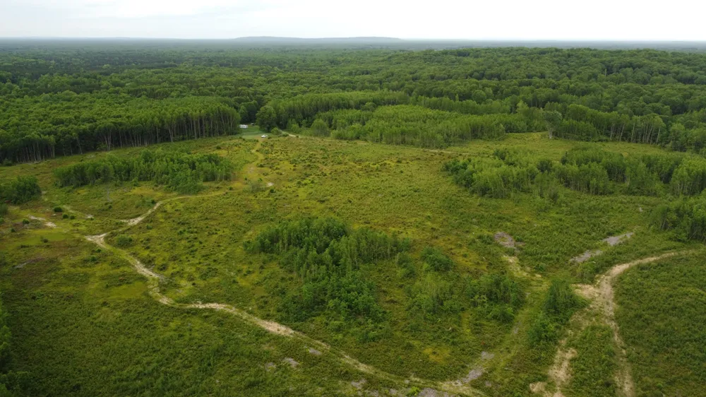 E Freesoil Road #40 acres Free Soil, MI 49411