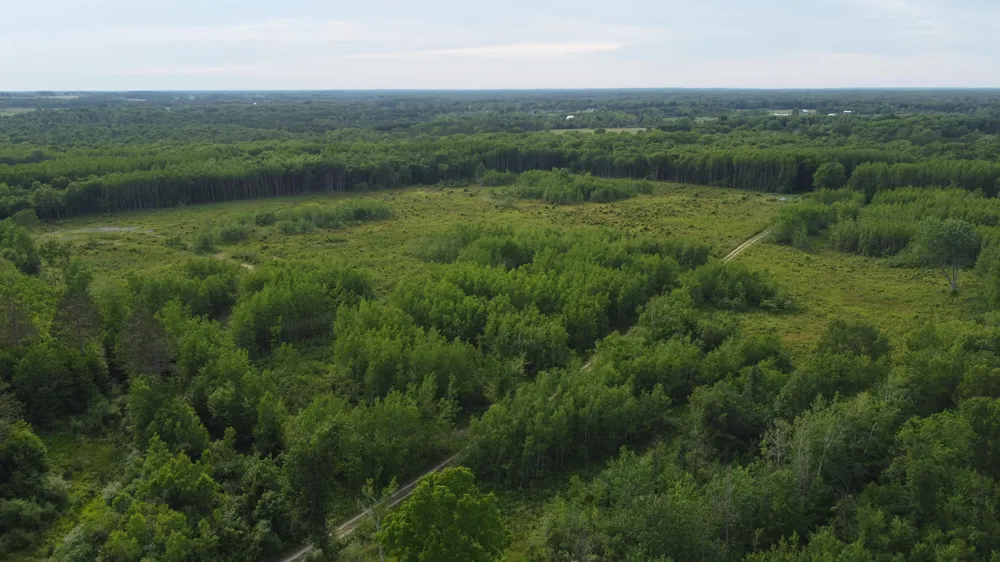 E Freesoil Road #40 acres Free Soil, MI 49411