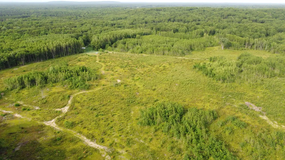 E Freesoil Road #40 acres Free Soil, MI 49411