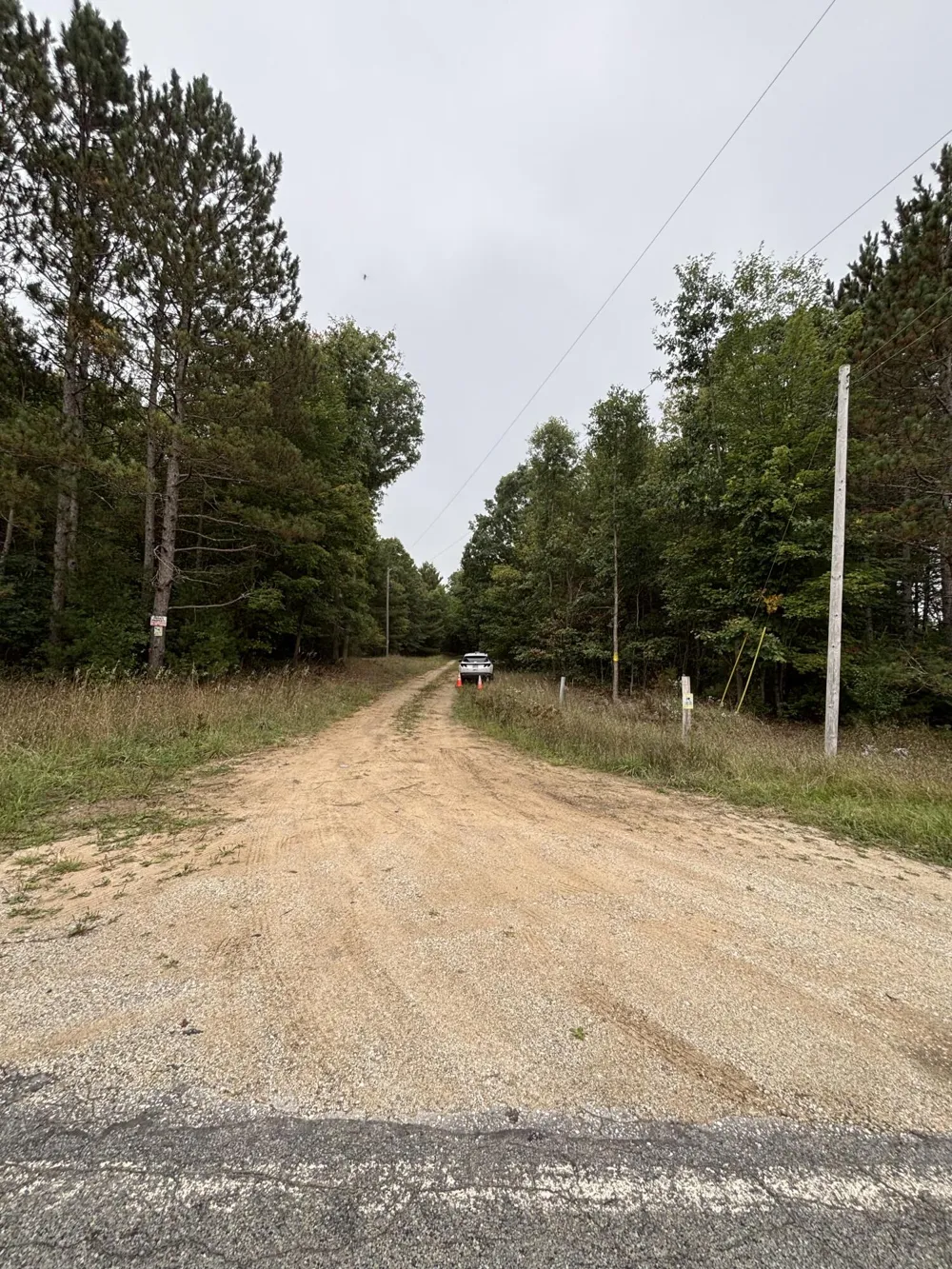 E Freesoil Road #40 acres Free Soil, MI 49411