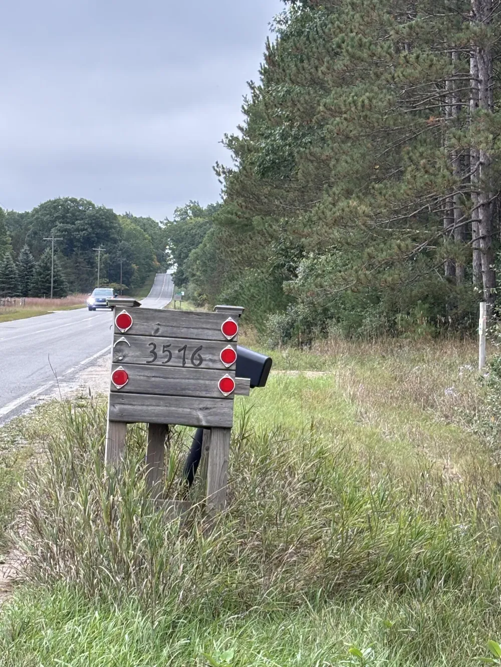 E Freesoil Road #40 acres Free Soil, MI 49411
