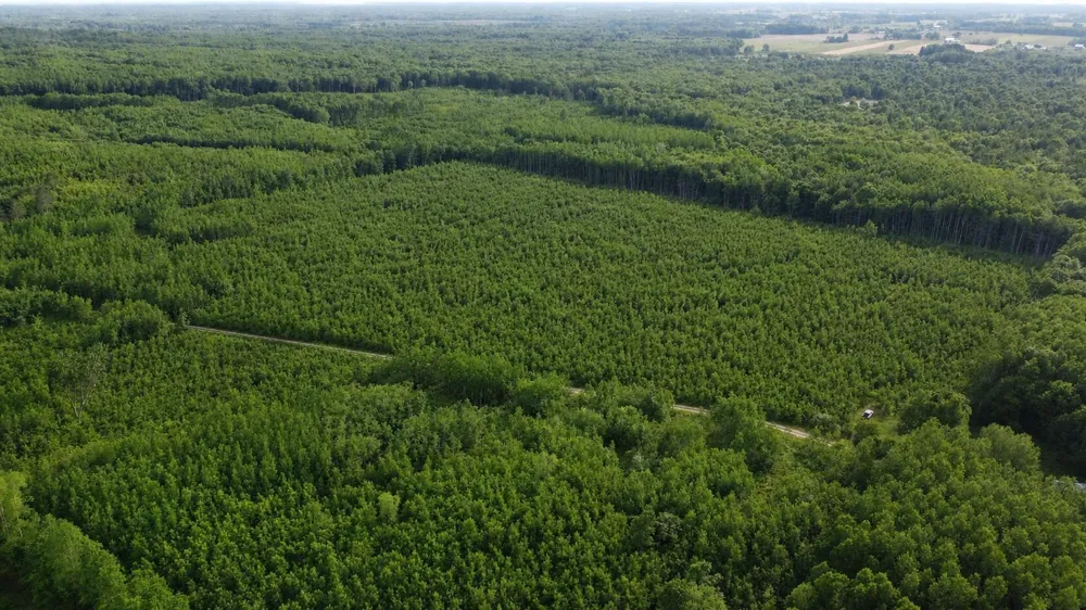 E Freesoil Road #40 acres Free Soil, MI 49411