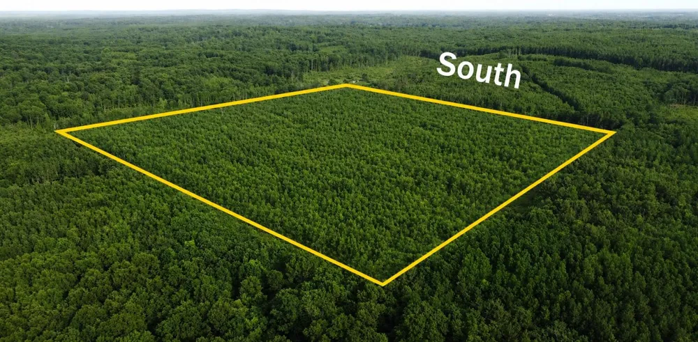 E Freesoil Road #40 acres Free Soil, MI 49411