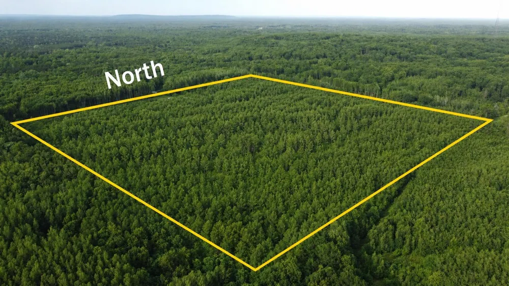 E Freesoil Road #40 acres Free Soil, MI 49411