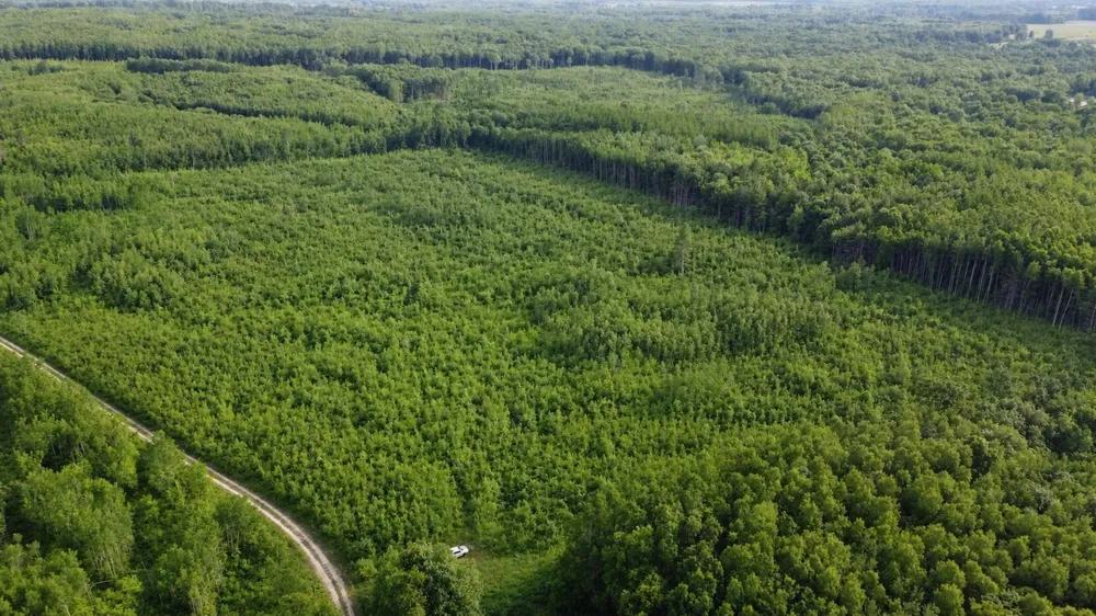 E Freesoil Road #40 acres Free Soil, MI 49411