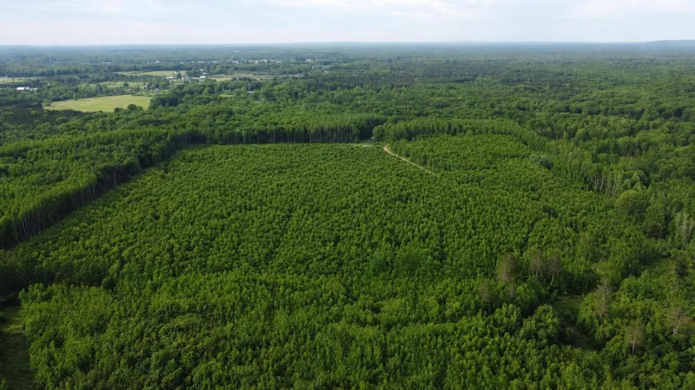 E Freesoil Road #40 acres Free Soil, MI 49411