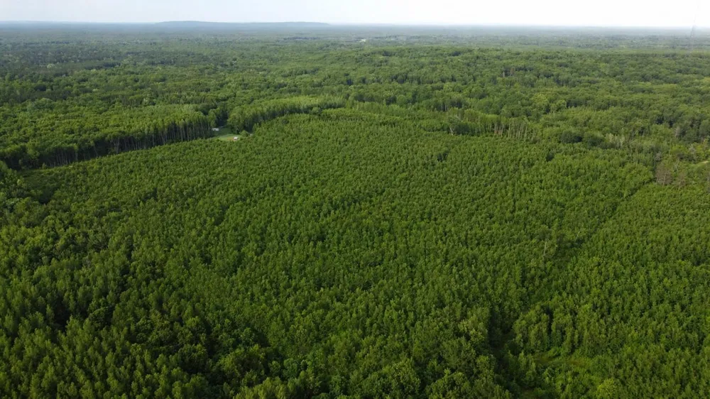 E Freesoil Road #40 acres Free Soil, MI 49411
