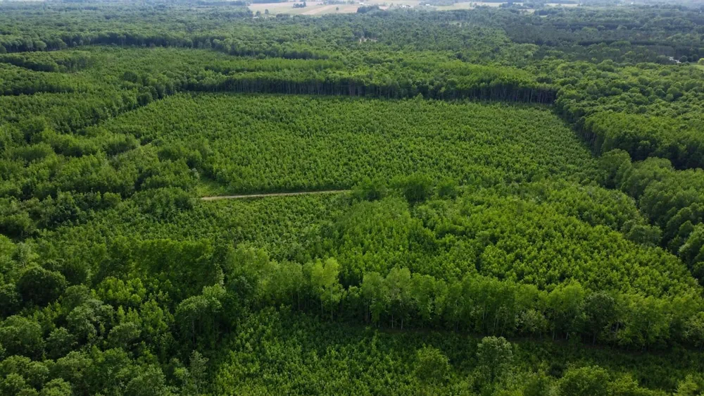 E Freesoil Road #40 acres Free Soil, MI 49411