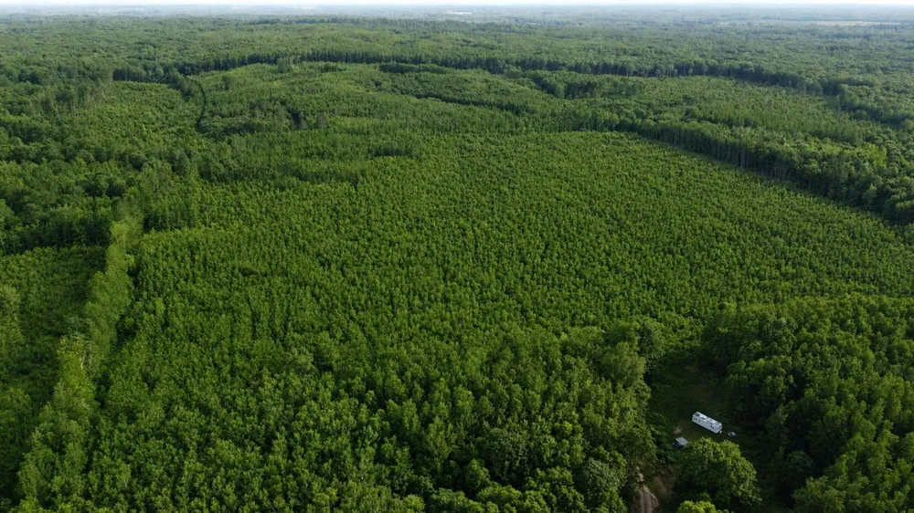 E Freesoil Road #40 acres Free Soil, MI 49411