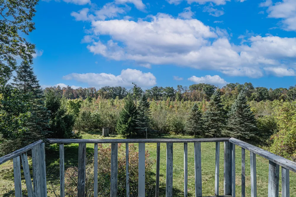 19419 Bullhead Lake Drive Rodney, MI 49342