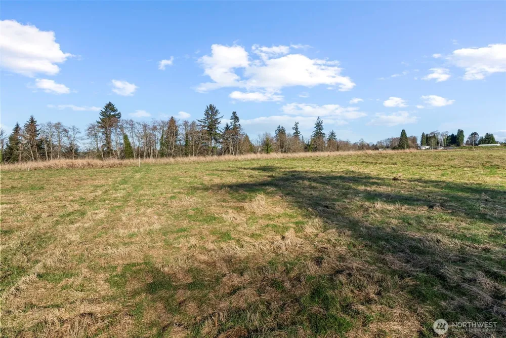 48 Sunnyfield Drive #Lot4 Cathlamet, WA 98612