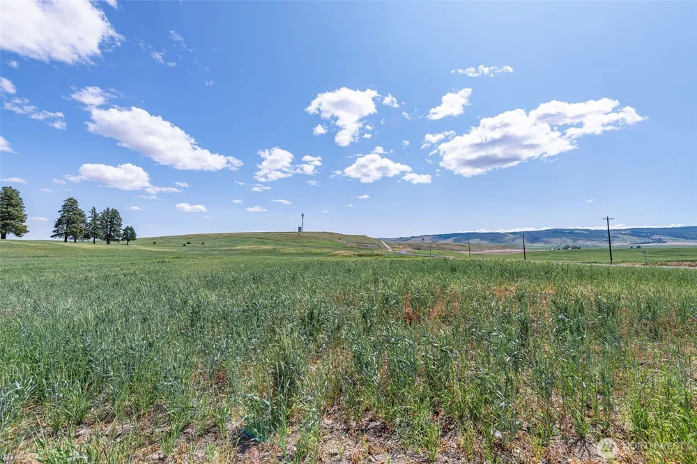 0 Unassigned Waterville, WA 98858
