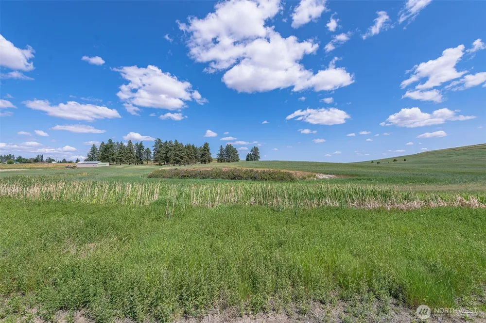 0 Unassigned Waterville, WA 98858