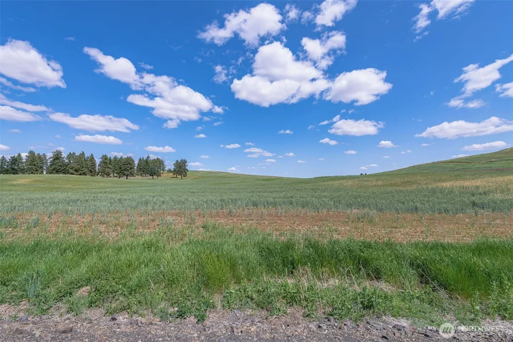 0 Unassigned Waterville, WA 98858