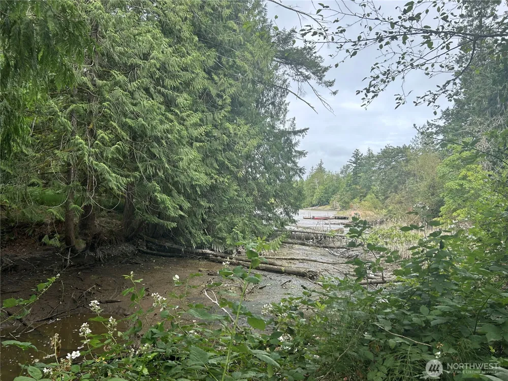 19401 Whiteman Cove Road SW Longbranch, WA 98351
