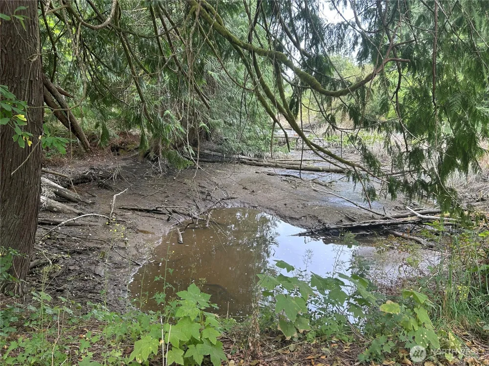 19401 Whiteman Cove Road SW Longbranch, WA 98351