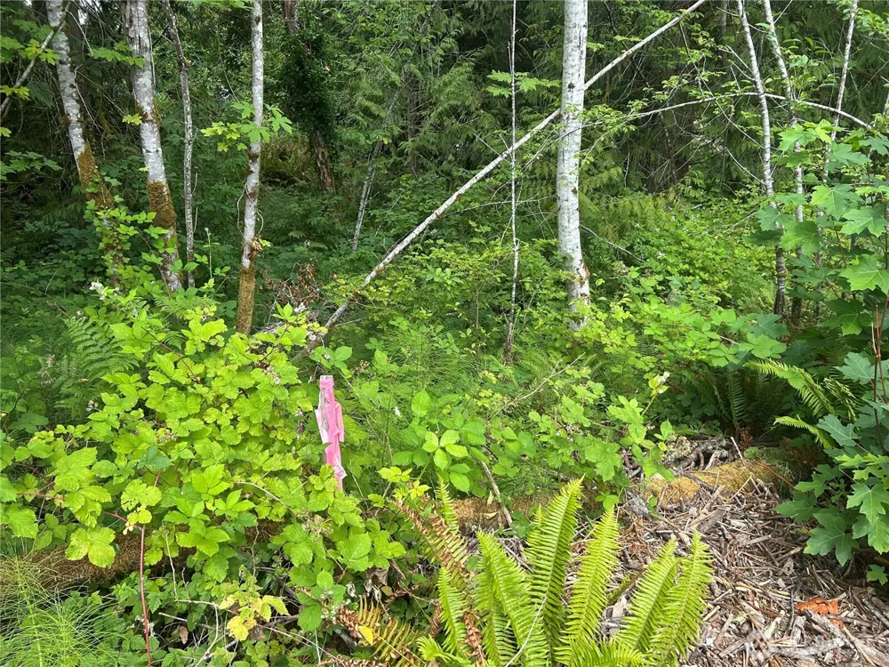 19401 Whiteman Cove Road SW Longbranch, WA 98351