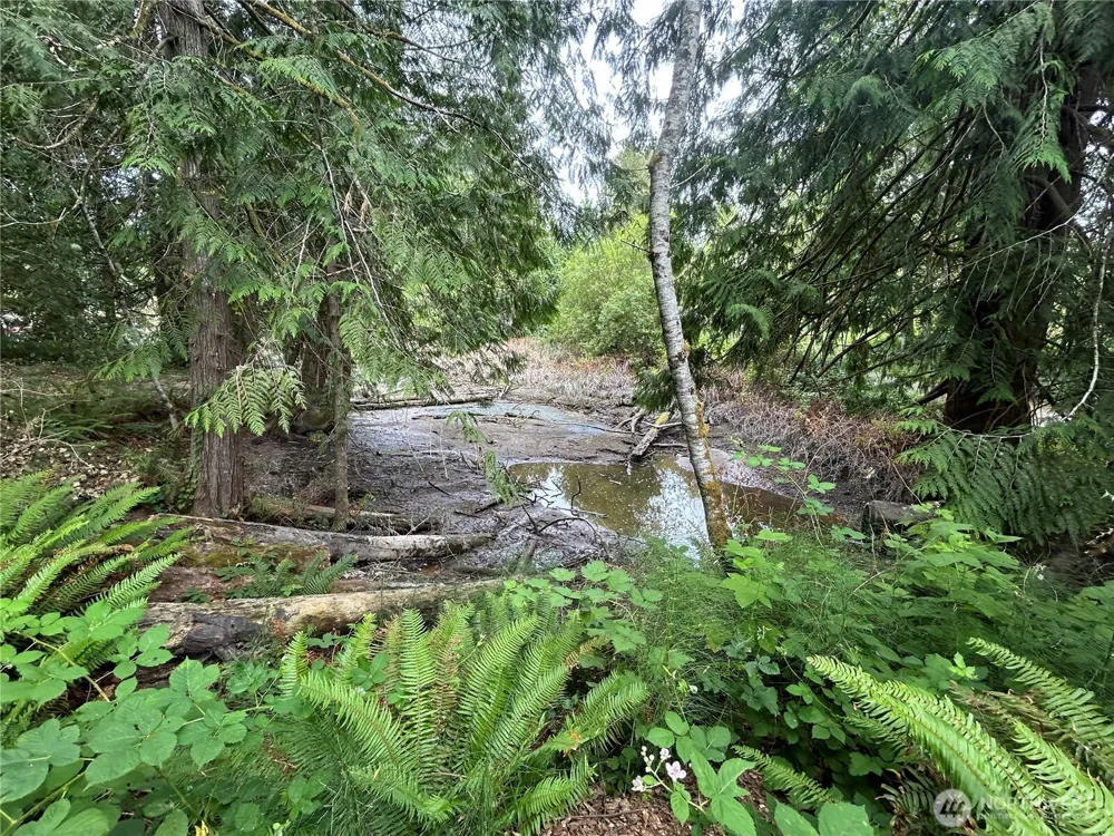 19401 Whiteman Cove Road SW Longbranch, WA 98351