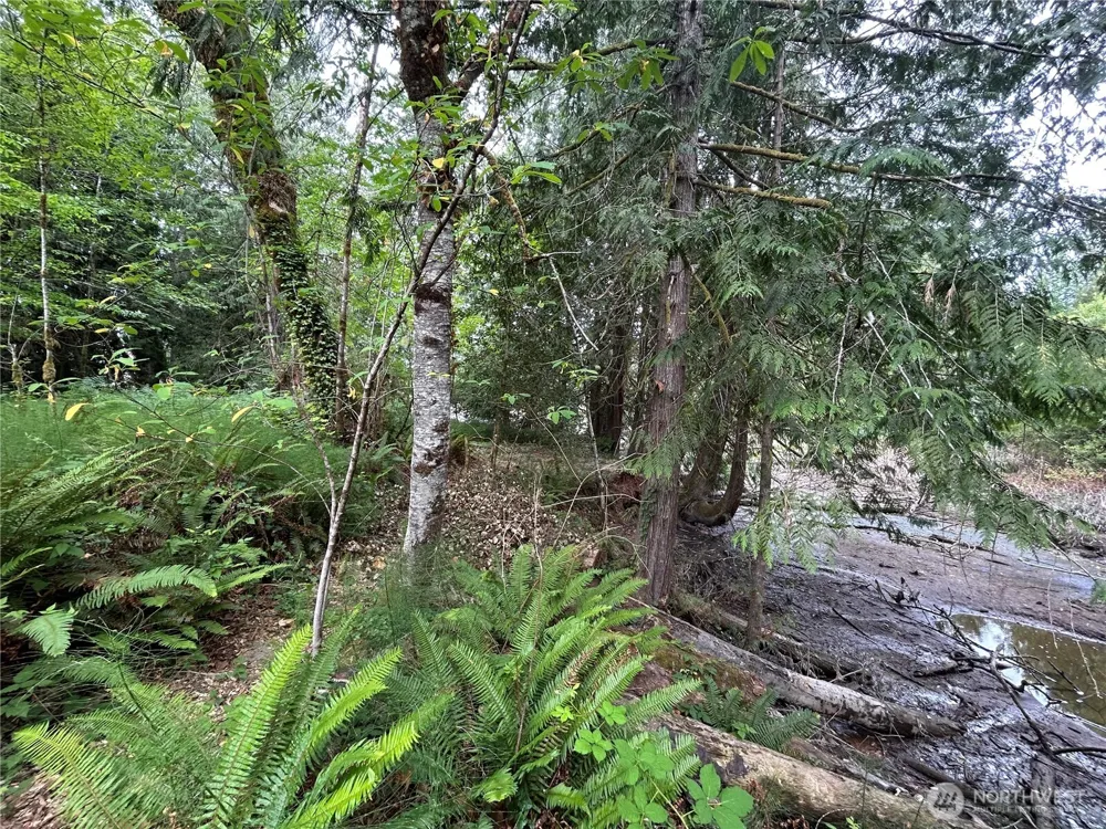 19401 Whiteman Cove Road SW Longbranch, WA 98351